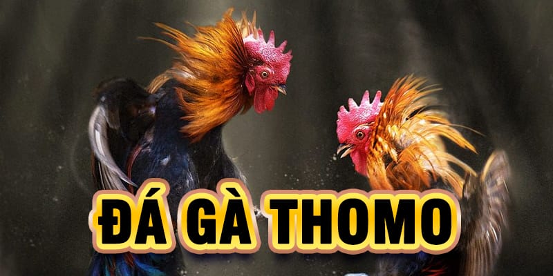 Đá Gà Thomo