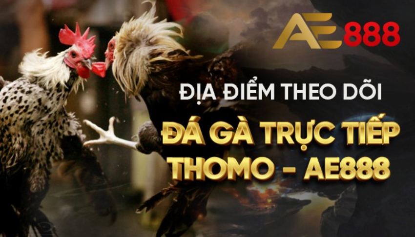 Ae888 Thomo trở lại vì từng đóng cửa do dịch bệnh Covid